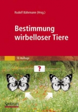 Bestimmung wirbelloser Tiere - Müller, H.-J.; Bährmann, Rudolf