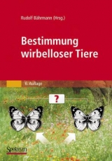 Bestimmung wirbelloser Tiere - 