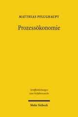 Prozess&ouml;konomie - Matthias Pflughaupt