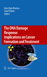 The DNA Damage Response: Implications on Cancer Formation and Treatment - 