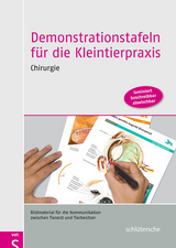 Demonstrationstafeln f&uuml;r die Kleintierpraxis. Chirurgie