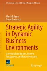Strategic Agility in Dynamic Business Environments -  Marco Balzano,  Guido Bortoluzzi