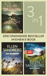 Das Unrecht / Das Geheimnis / Der Verrat (3in1 Bundle) - Ellen Sandberg