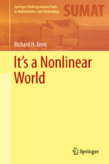 It's a Nonlinear World - Richard H. Enns