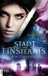 Stadt der Finsternis - Im Netz der Magie - Ilona Andrews