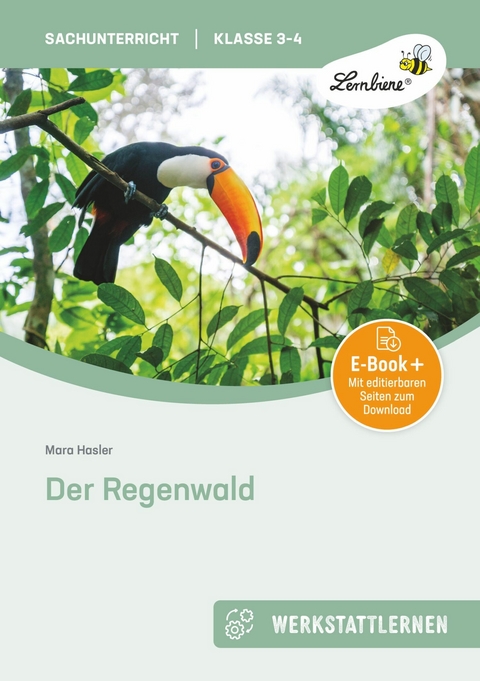 Der Regenwald - Mara Hasler