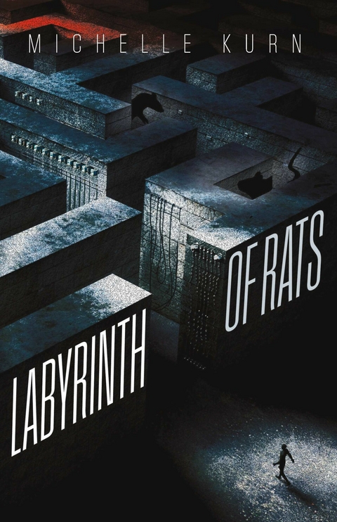 Labyrinth of Rats -  Michelle Kurn
