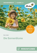 Die Sonnenblume -  Mara Hasler
