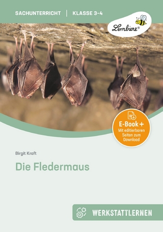 Die Fledermaus
