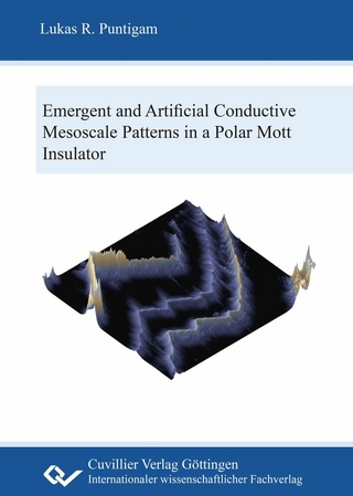 Emergent and artificial conductive mesoscale patterns in a polar Mott insulator