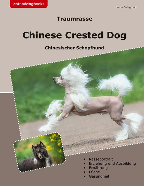 Traumrasse Chinese Crested Dog - Karla Gutegrund