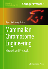 Mammalian Chromosome Engineering - 