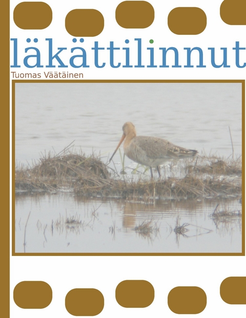 l&auml;k&auml;ttilinnut -  Tuomas V&auml;&auml;t&auml;inen