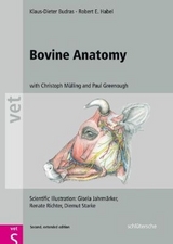 Bovine Anatomy - Klaus-Dieter Budras, Robert E. Habel