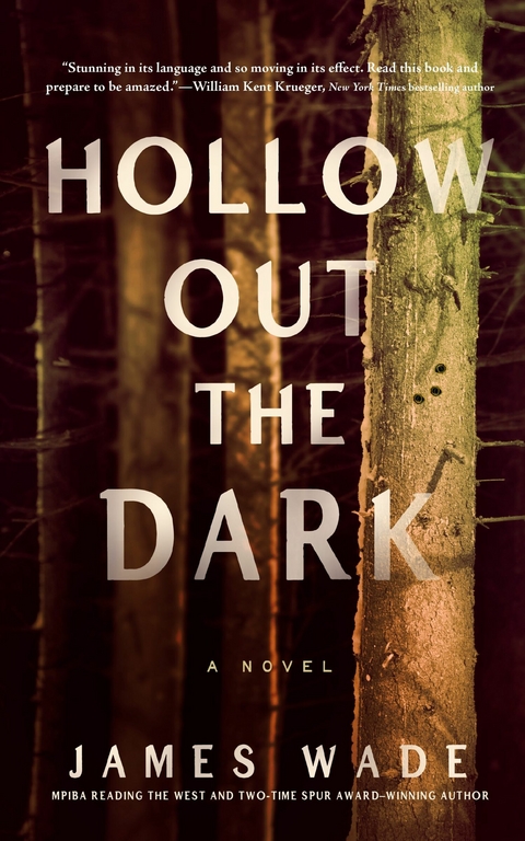 Hollow Out the Dark -  James Wade