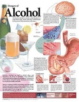 Dangers of Alcohol Anatomical Chart - 