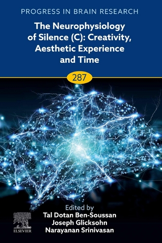Neurophysiology of Silence (C): Creativity, Aesthetic Experience and Time