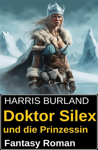 Doktor Silex und die Prinzessin: Fantasy Roman