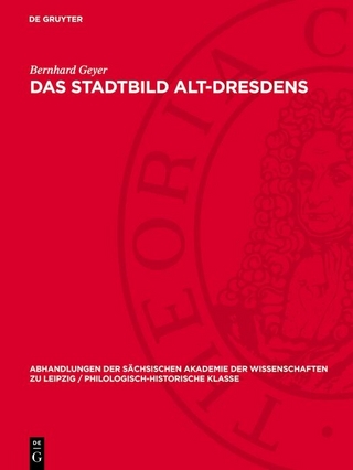 Das Stadtbild Alt-Dresdens