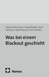 Was bei einem Blackout geschieht - Thomas Petermann, Harald Bradke, Arne L&uuml;llmann, Maik Poetzsch, Ulrich Riehm