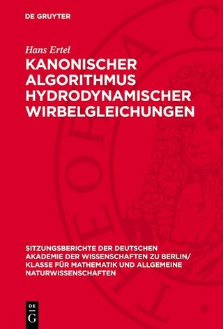 Kanonischer Algorithmus hydrodynamischer Wirbelgleichungen