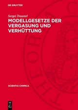 Modellgesetze der Vergasung und Verh&uuml;ttung - Sergei Traustel