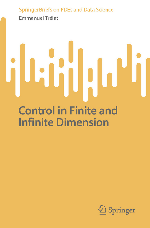 Control in Finite and Infinite Dimension -  Emmanuel Trelat