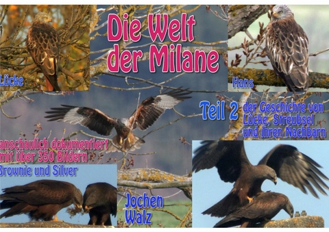 Die Welt der Milane Teil 2 - Jochen Walz