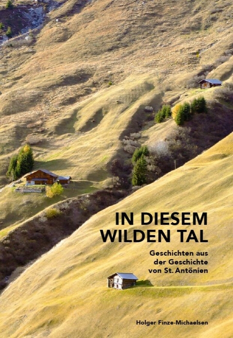 In diesem wilden Tal -  Holger Finze-Michaelsen