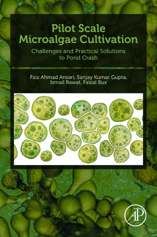 Pilot Scale Microalgae Cultivation