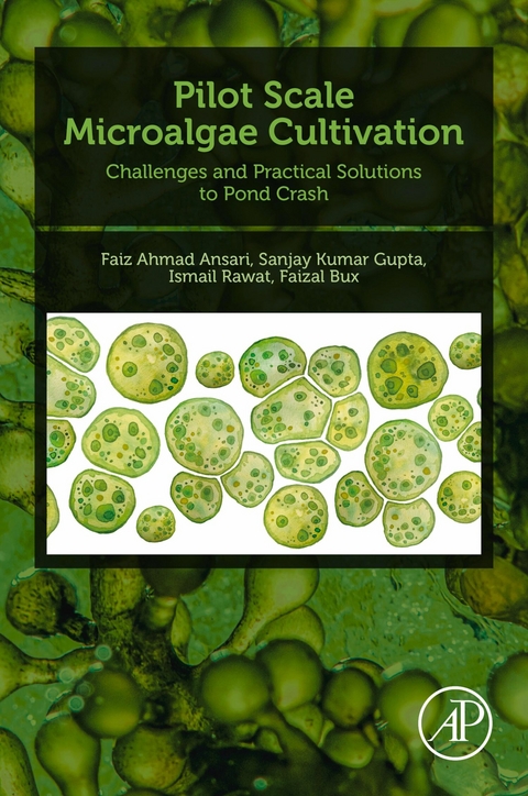 Pilot Scale Microalgae Cultivation -  Faiz Ahmad Ansari,  Faizal Bux,  Sanjay Kumar Gupta,  Ismail Rawat