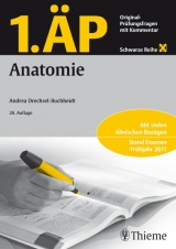 1. &Auml;P Anatomie - Andrea Drechsel-Buchheidt