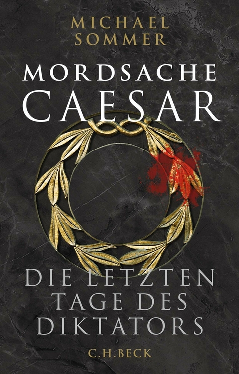 Mordsache Caesar -  Michael Sommer