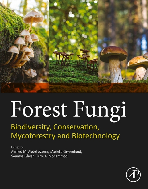 Forest Fungi - 