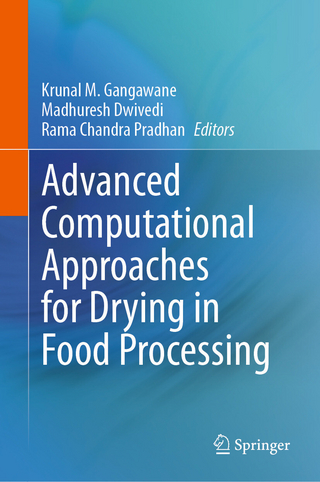 Advanced Computational Approaches for Drying in Food Processing