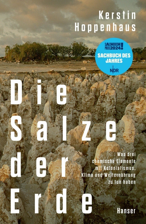 Die Salze der Erde -  Kerstin Hoppenhaus