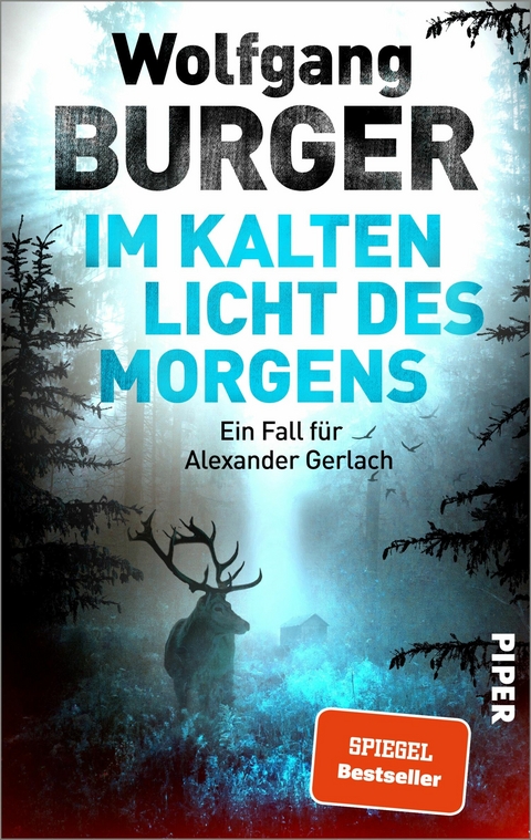 Im kalten Licht des Morgens -  Wolfgang Burger