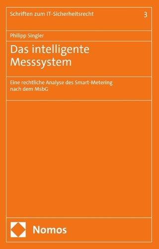 Das intelligente Messsystem