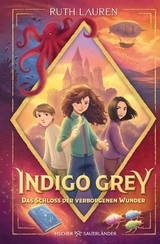 Indigo Grey &ndash; Das Schloss der verborgenen Wunder - Ruth Lauren
