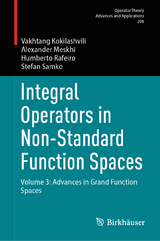 Integral Operators in Non-Standard Function Spaces - Vakhtang Kokilashvili, Alexander Meskhi, Humberto Rafeiro, Stefan Samko