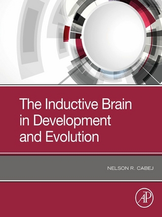 Inductive Brain in Development and Evolution