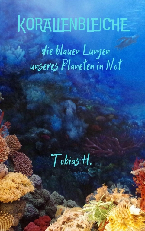 Korallenbleiche - Tobias Hopfm&uuml;ller