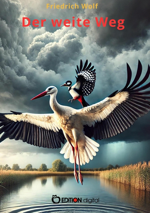 Der weite Weg - Friedrich Wolf