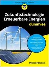 Zukunftstechnologie Erneuerbare Energien f&uuml;r Dummies - Michael Felleisen