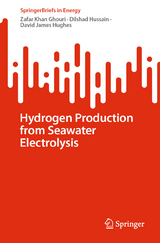 Hydrogen Production from Seawater Electrolysis - Zafar Khan Ghouri, Dilshad Hussain, David James Hughes