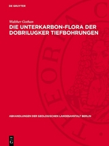 Die Unterkarbon-Flora der Dobrilugker Tiefbohrungen - Walther Gothan
