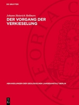 Der Vorgang der Verkieselung - Johann Heinrich Hellmers
