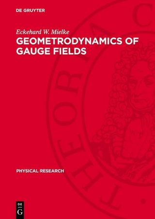 Geometrodynamics of Gauge Fields
