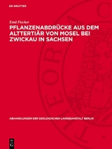 Pflanzenabdr&uuml;cke aus dem Altterti&auml;r von Mosel bei Zwickau in Sachsen - Emil Fischer