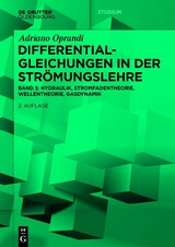 Differentialgleichungen in der Str&ouml;mungslehre - Adriano Oprandi